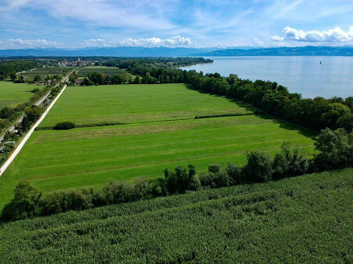 Ferien-Apartment Eisvogel Im Naturschutzgebiet Mit Privatstrand Friedrichshafen Bagian luar foto