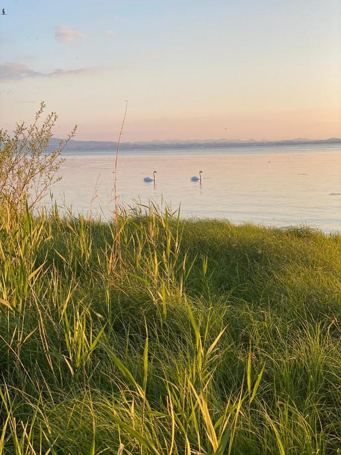 Ferien-Apartment Eisvogel Im Naturschutzgebiet Mit Privatstrand Friedrichshafen Bagian luar foto