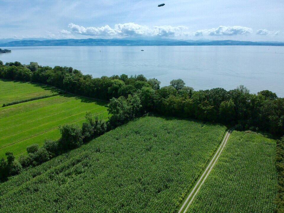 Ferien-Apartment Eisvogel Im Naturschutzgebiet Mit Privatstrand Friedrichshafen Bagian luar foto