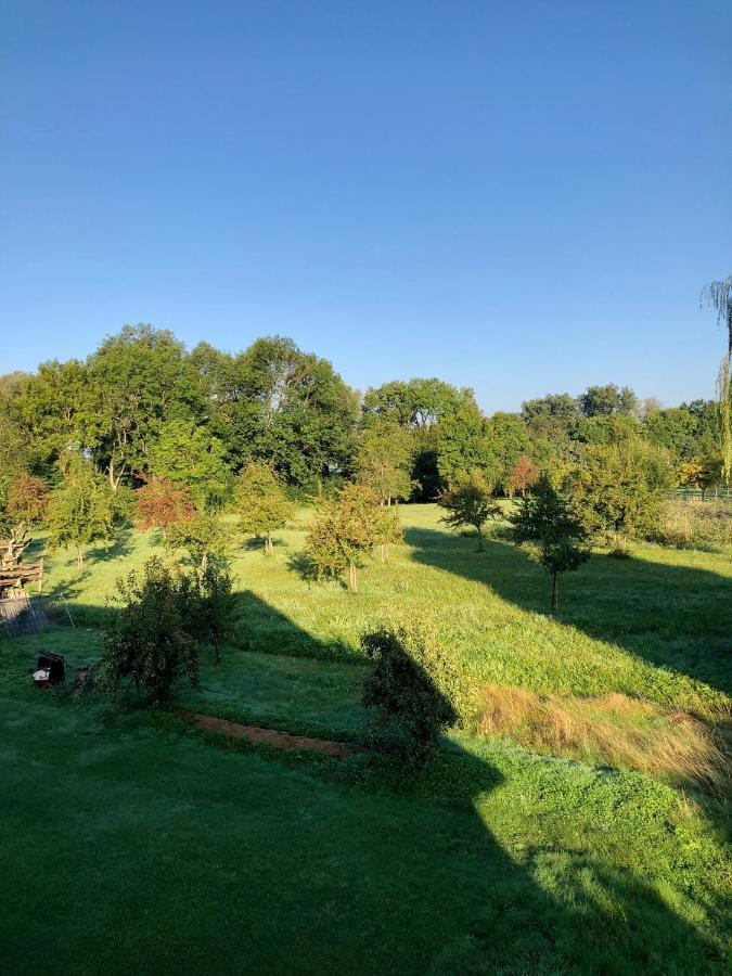 Ferien-Apartment Eisvogel Im Naturschutzgebiet Mit Privatstrand Friedrichshafen Bagian luar foto